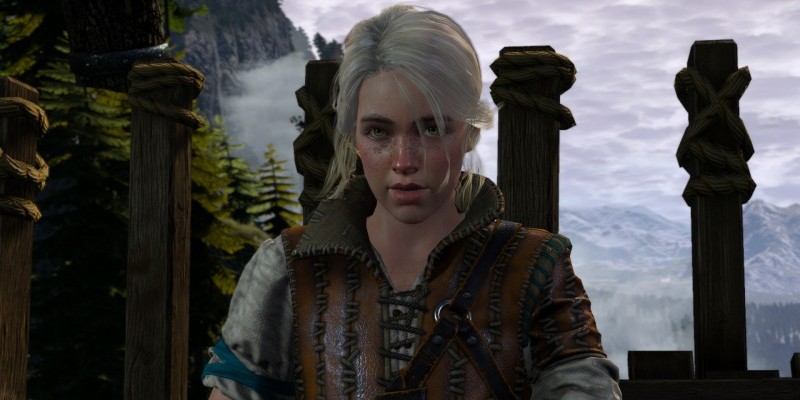 The Witcher 3 (13)