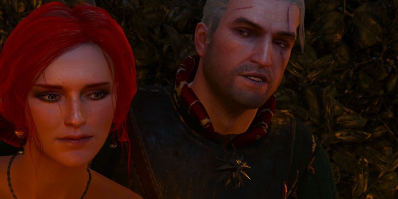 The Witcher 3 (6)