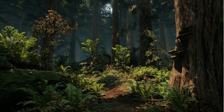 Ein DICE-Entwickler hat eine Waldlandschaft in der Unreal Engine 4 erstellt. (8)