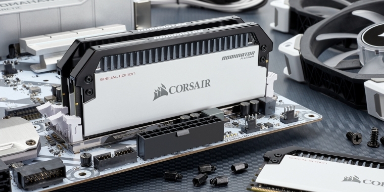 Corsair Dominator Platinum Special Edition: Contrast-Module in Schwarz-Weiß (12)