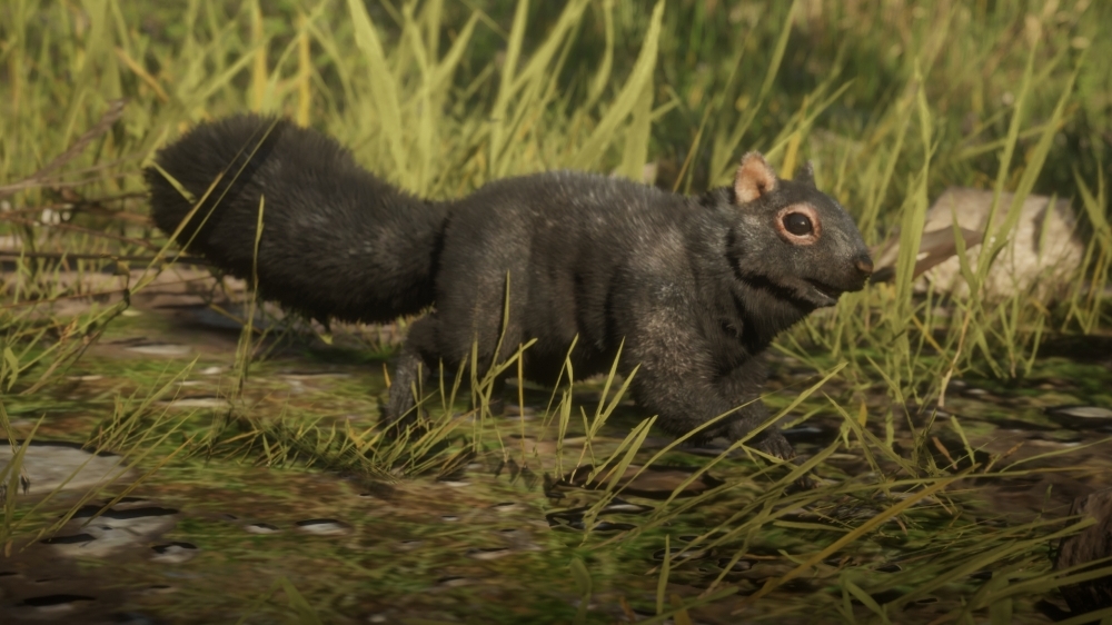 Red Dead Redemption 2: Nachtest mit API-Vergleich sowie GPU- und CPU-Benchmarks