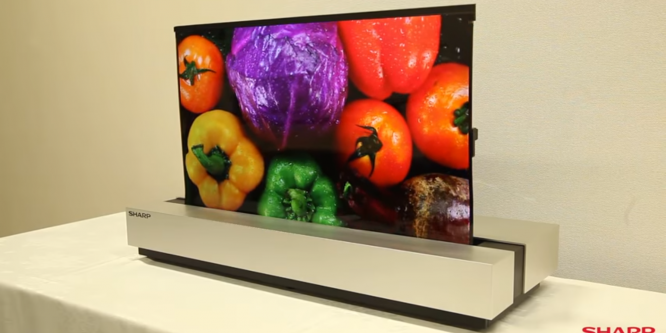 Sharp zeigt aufrollbares OLED-Display mit 30 Zoll (1)