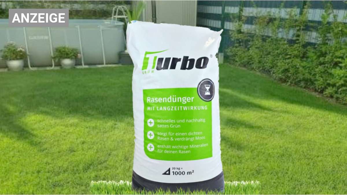 gurken brennesseljauche düngen Gurken-Flüssigdünger 500 ml
