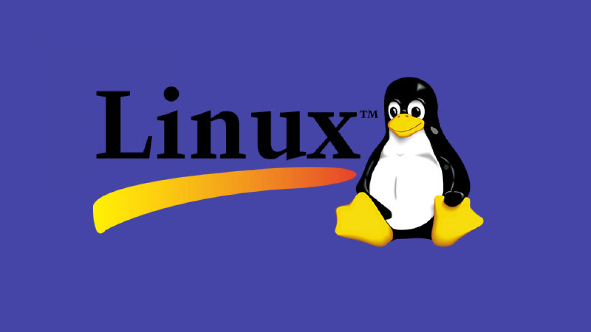 www.pcgameshardware.de