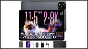 Tabwee T12 Pro (11,5 Zoll (2.800 x 1.840), 256 GB Speicher, viel Zubehör und vier Jahre Garantie)